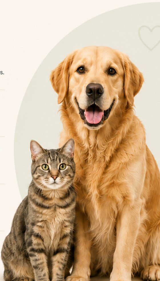 A dog and a cat sitting together